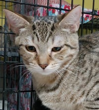 Tabitha - Photo 2