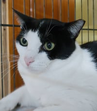 Jerry - Photo 1
