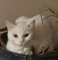Momma - Photo 1
