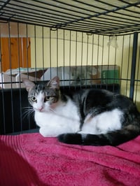 Doris aka Kiomi - Photo 1