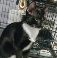 Mischief - Photo 3