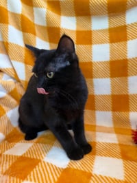 Holly 2026 - Photo 2