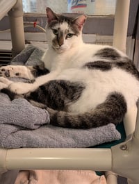 Pretty Boy - Photo 3