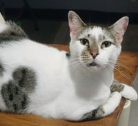 Pretty Boy - Photo 4