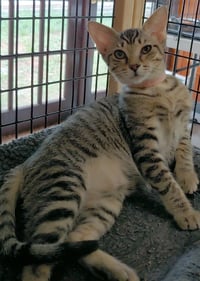 Precious - Photo 3