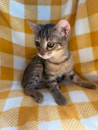 Carla - Photo 2