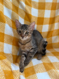 Carla - Photo 3