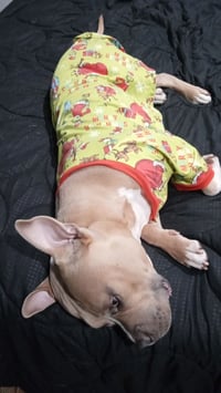 Anakin - Photo 9