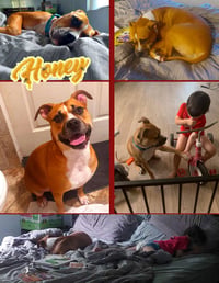 Honey - Photo 1