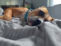 Honey - Photo 12