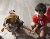 Honey - Photo 9