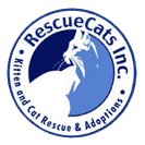 HELP SUPPORT OUR FELV KITTIES