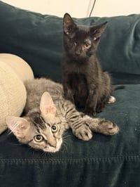 Grover & Crumb - Photo 1