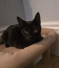 Salem - Photo 3