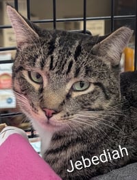 Jebediah (Out on Trial) - Photo 2