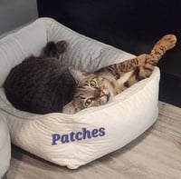 Patches - Photo 2
