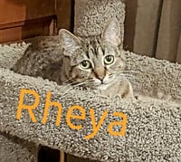 Rheya - Photo 3