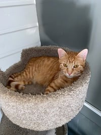 Titus - Photo 4