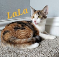 LaLa - Photo 3
