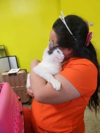 Chatty - Photo 3
