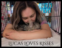 Lucas - Photo 3