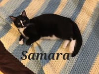Samara - Photo 6
