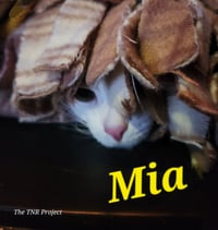 Mia - Photo 4